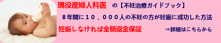 �s�D���ÃK�C�h�u�b�N�E�̌��҂̊��z�́H